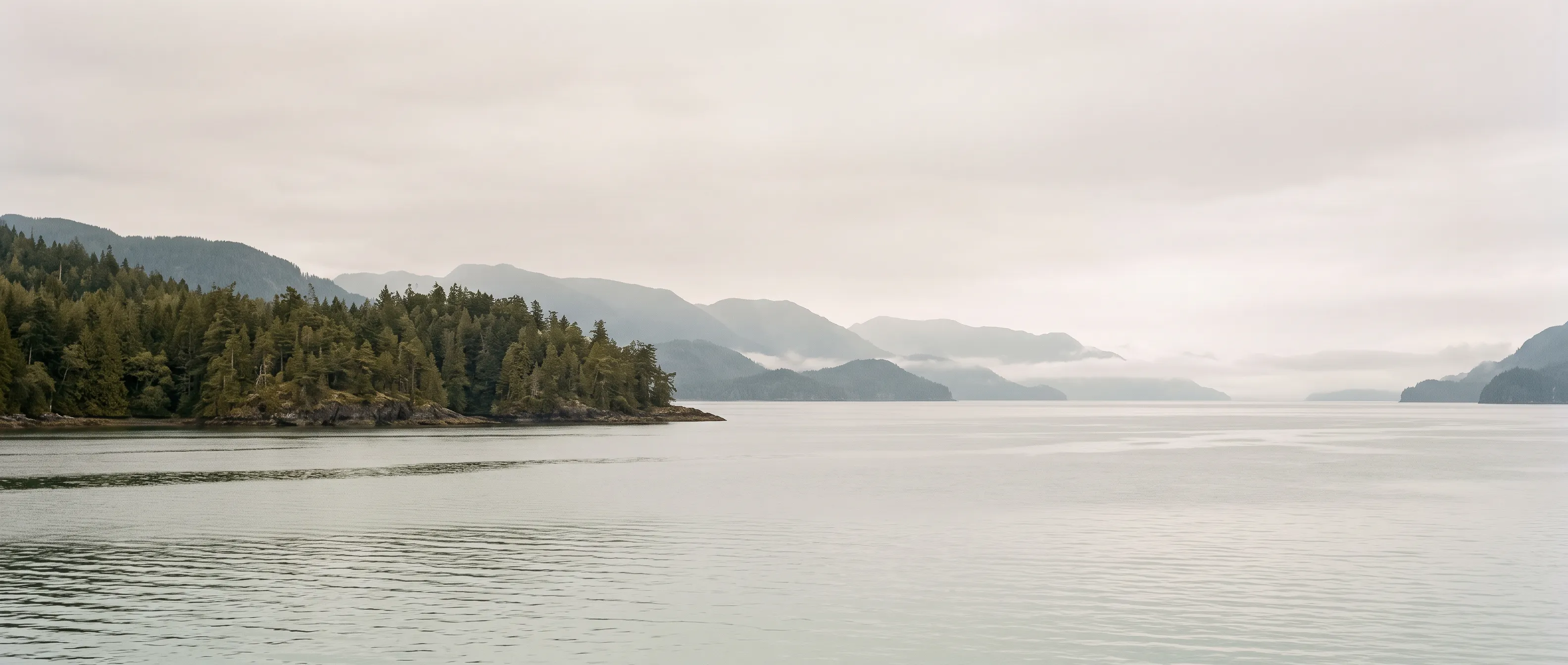 Quiet coastal water and layers of forested mountains beneath a pale sky